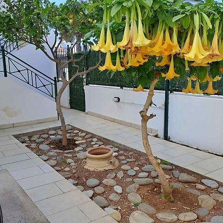 Dimitris Place Near Athens Airport Koropion Ngoại thất bức ảnh