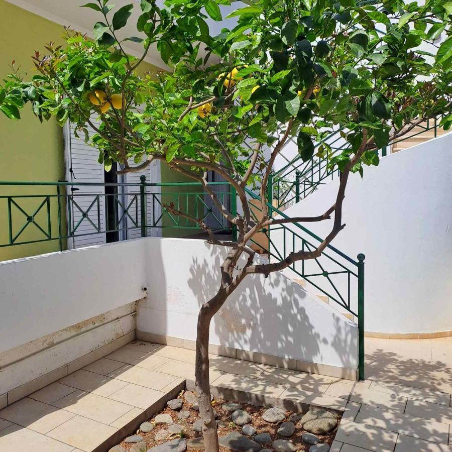 Dimitris Place Near Athens Airport Koropion Ngoại thất bức ảnh