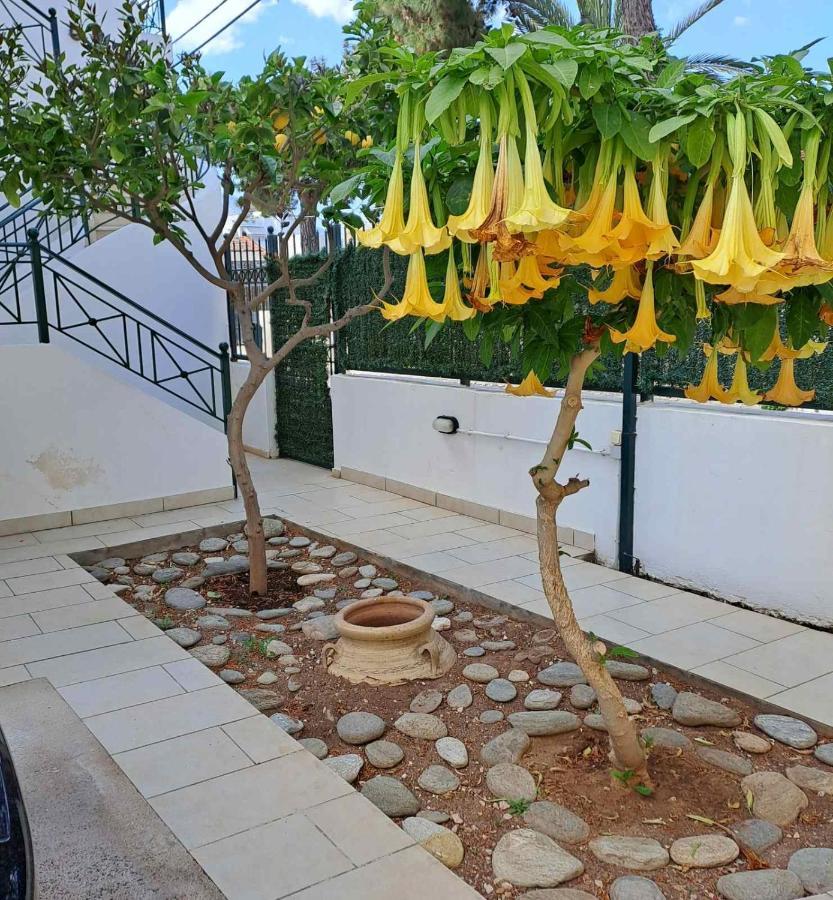 Dimitris Place Near Athens Airport Koropion Ngoại thất bức ảnh