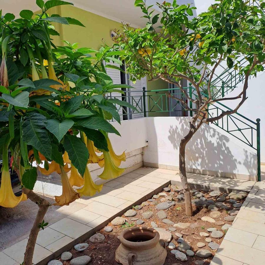 Dimitris Place Near Athens Airport Koropion Ngoại thất bức ảnh